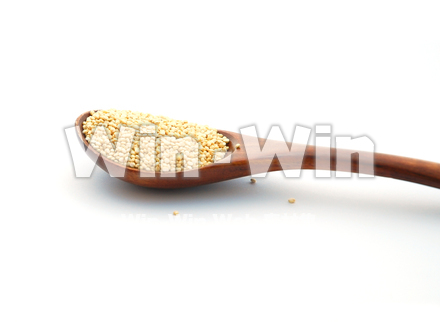 キヌアの写真素材 W-018855