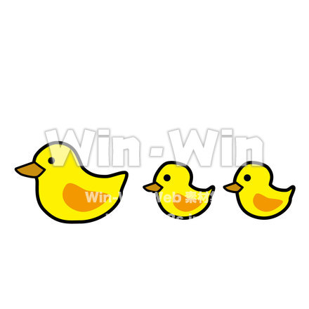 アヒルの親子のCG・イラスト素材 W-019716