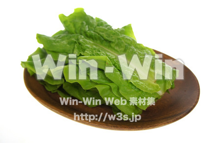 チマ・サンチュの写真素材 W-018096