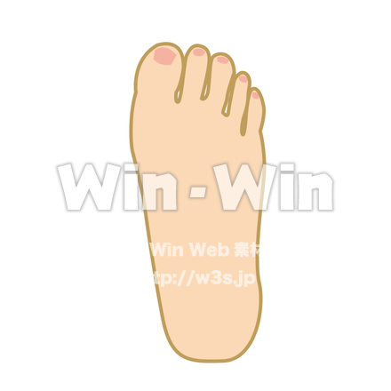 右足のCG・イラスト素材 W-018510