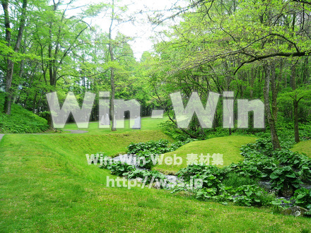 緑の庭の写真素材 W-018474