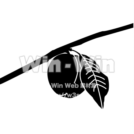 梅の実と葉のシルエット素材 W-018601