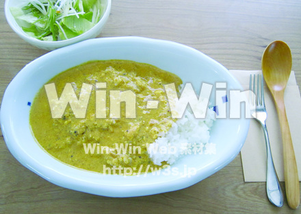 カレーの写真素材 W-018651