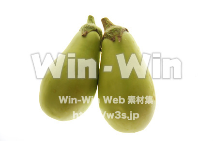 白なすの写真素材 W-018104