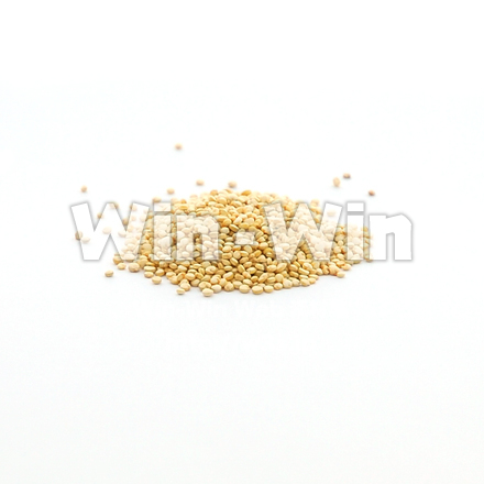 キヌアの写真素材 W-018853