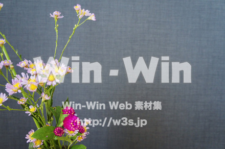 花の写真素材 W-018228