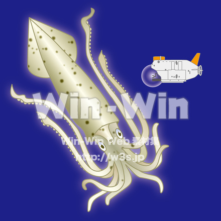 大王イカのCG・イラスト素材 W-018730