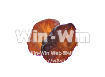 キクラゲの写真素材 W-018108