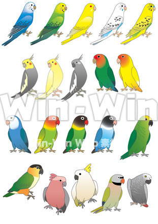 インコシンボルのCG・イラスト素材 W-019373