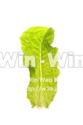 チマ・サンチュの写真素材 W-018098