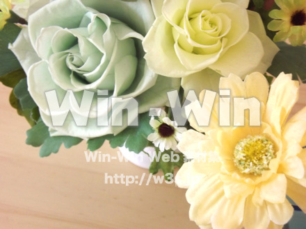 花の写真素材 W-018013