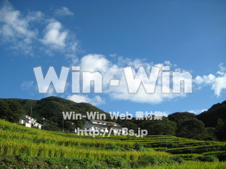 棚田の写真素材 W-019549