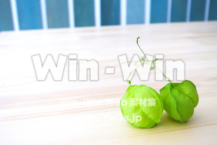 テーブルの上に乗っているふうせんかずらの写真素材 W-018037