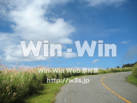 カーブする道の写真素材 W-019550