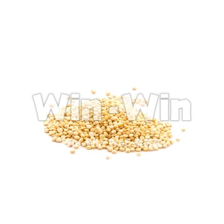 キヌアの写真素材 W-018852