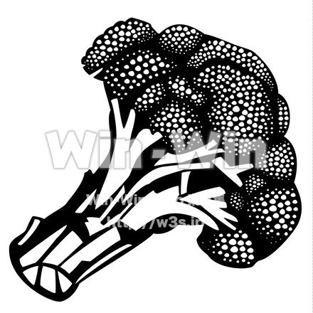 ブロッコリーのシルエット素材 W-018081