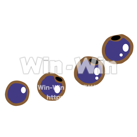 ブルーベリーのCG・イラスト素材 W-019685