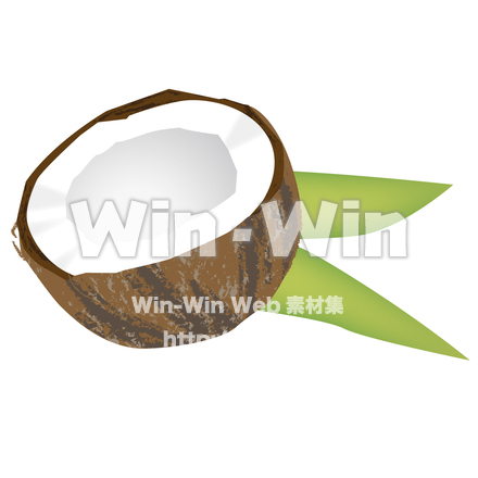 ココナッツのCG・イラスト素材 W-019839