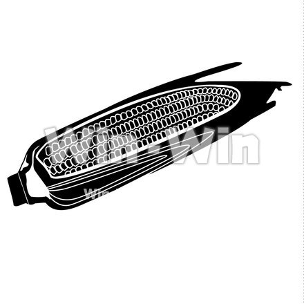 とうもろこしのシルエット素材 W-018089