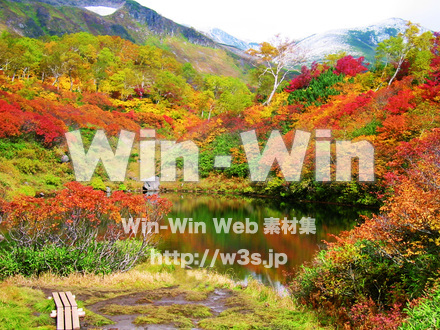 大雪山紅葉の写真素材 W-018648