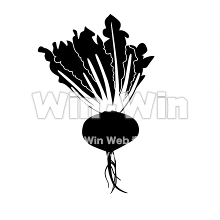 桜島大根のシルエット素材 W-018598