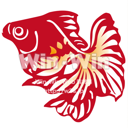 金魚のCG・イラスト素材 W-019214