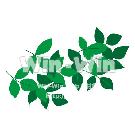 葉っぱのCG・イラスト素材 W-019178