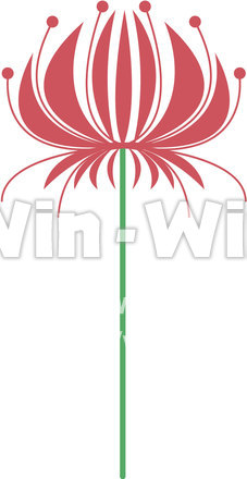 曼珠沙華のCG・イラスト素材 W-019735