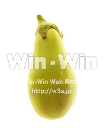 白なすの写真素材 W-018103