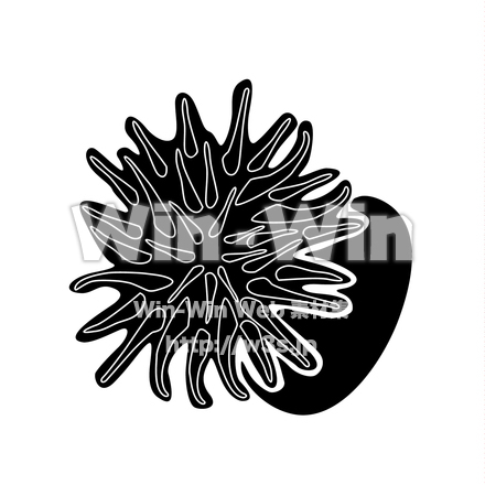 イソギンチャクのシルエット素材 W-018953