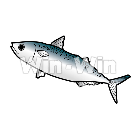 さばのCG・イラスト素材 W-019681