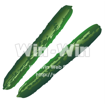 きゅうりのCG・イラスト素材 W-019295