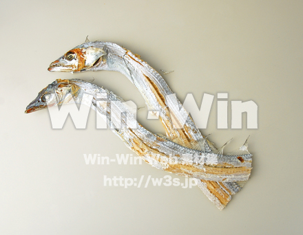 太刀魚の写真素材 W-020285