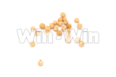 ひよこ豆の写真素材 W-021069