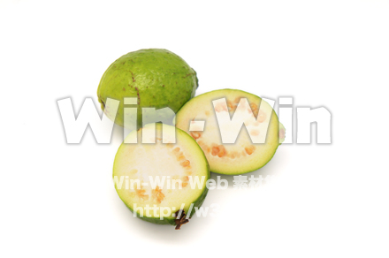 沖縄産グァバの写真素材 W-021118