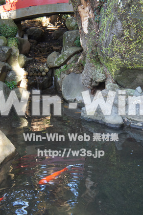 熱海未宮神社の写真素材 W-021562