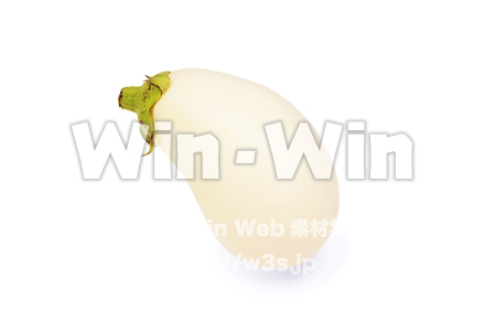 白なすの写真素材 W-020975