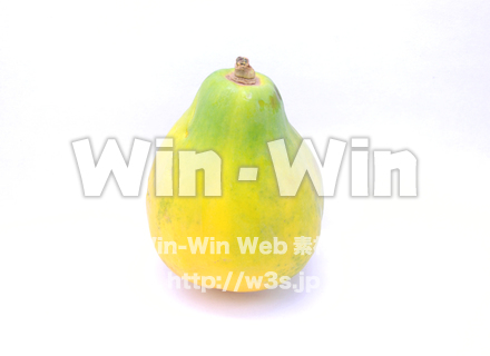 パパイヤの写真素材 W-020422