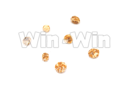 タイガーナッツの写真素材 W-021785