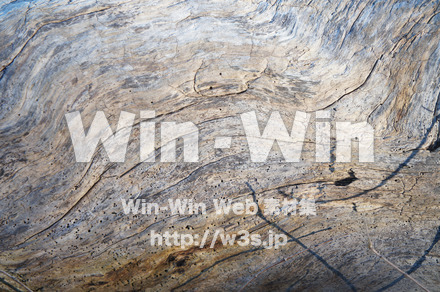 流木の写真素材 W-021537