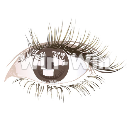 目のCG・イラスト素材 W-020267