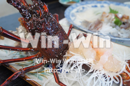 伊勢エビの写真素材 W-021527