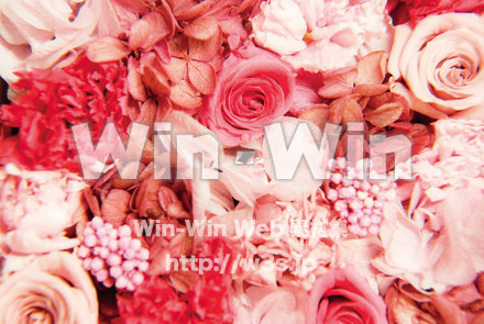 花のイメージ写真の写真素材 W-021481