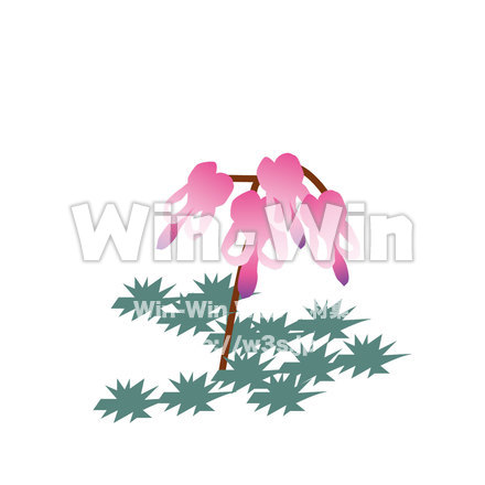 コマクサのCG・イラスト素材 W-021047