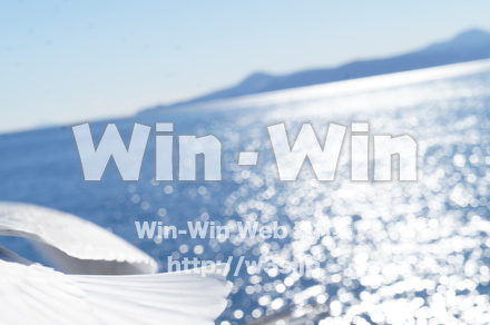 カモメの写真素材 W-021571