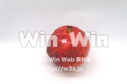 ザクロの写真素材 W-020426