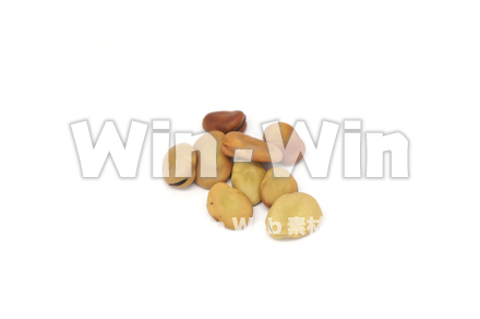 そらまめの写真素材 W-021073