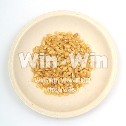 玄米の写真素材 W-020533