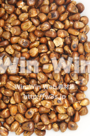 炒りとうもろこしの写真素材 W-020488