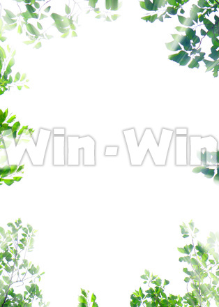 木漏れ日背景の写真素材 W-020600